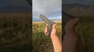 Sig Sauer 1911 Extreme .45acp