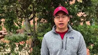Peter Kwak