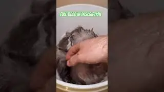 Washing A Deer Hide! #shorts #youtubeshorts