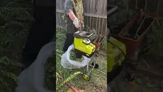 A review of the Sunjoe 15 Amp Electric Chipper and Shredder