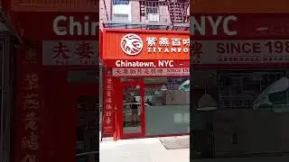 #drivingaround #chinatown #newyorkcity #manhattan #dimsum #chinesefood #jalanjalan #chinese