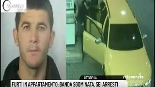 TG PADOVA (03/11/2017) - FURTI IN APPARTAMENTO: BANDA SGOMINATA, SEI ARRESTI