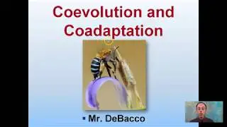Coevolution and Coadaptation