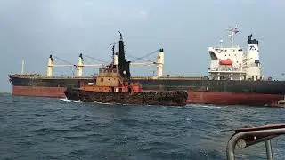 World Biggest Cargo Ship Living Chennai Port|Chennai port With deeper port|enormous cargo vessel
