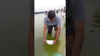 Ria from Gurgaon getting digital snan (bath) at Sangam Prayagraj. Digi Snan is free service.