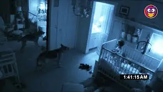 Dogs can sense supernatural activity