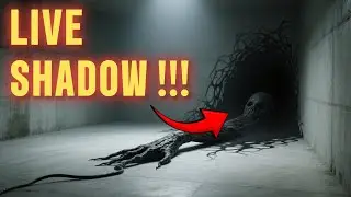 The Shadow Recorded Without Any Object Casting It!