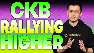 CKB RALLYING HIGHER?🔥 | NERVOS NETWORK PRICE PREDICTION & NEWS 2024!