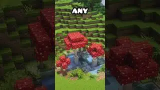 Постройте в своем мире Minecraft несколько прудов на заказ!!! #minecraft #shorts #fyp