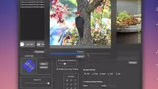 How to Watermark Photo Collection on macOS