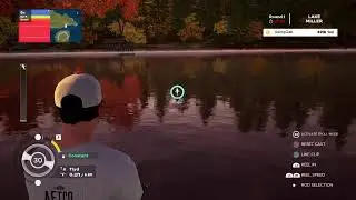 Fishing Sim World