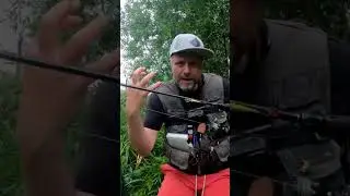 Spin fishing for chub