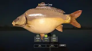 Russian Fishing 4 Amber Lake Trophy Leather Carp