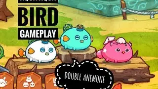AQUA AQUA BIRD GAMEPLAY | AAB | DOUBLE ANEMONE - HARE DAGGER | AXIE INFINITY