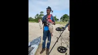 Sheepshead Porgy  ( July 15, 2023 )