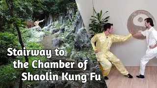 Black Tiger VS Single Tiger - Lesson 18/19 - Southern Shaolin Kung Fu Training [FREE MINI COURSE]