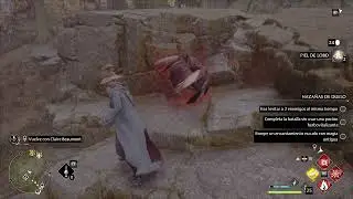 Hogwarts Legacy stuck enemy glitch