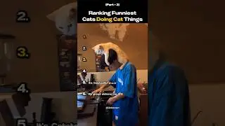 Рейтинг самых смешных кошек, вытворяющих кошачьи вещи