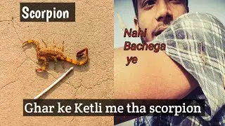 केतली में था बिच्छू 😲 || Village Life Style Vlog #villagevlog #vlog #2022vlog #pksharmasvlog #bihar