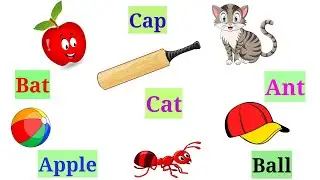 Match The Pictures With The Words For Kids।।