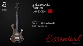 Zakrzewski Basses Sessions #2 /Essential ES24 02  #zakrzewskibasses #zakrzewskibassessessions