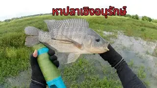 Conservation fishing @sniper
