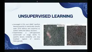 HAADF-Segment: Mic-Hackathon Submission