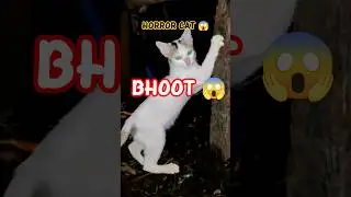 😱😱 #BHOOT #CAT #YTSHORTS #SUBSCRIBE