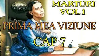 Marturi Vol 1 / Cap 7 - Prima mea viziune