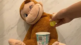 スーパーボールを投げてこの中にいられるかチャレンジしたよ‼️