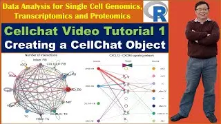 Видеоурок Cellchat 1: Создание объекта CellChat