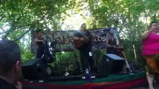 Fang Into Vein - Alexander James Adams (Live 2013)