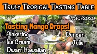 Truly Tropical Tasting Table #1 (May 30, 2020)