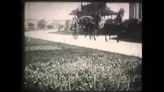 MacRobertson's Horses