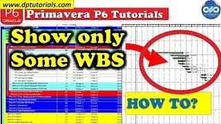 How To Show Only Some WBS In The Gantt Chart In Primavera P6 || Free Primavera p6 Online tutorials
