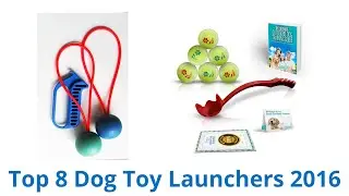 8 Best Dog Toy Launchers 2016