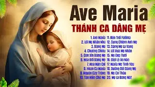 Thánh Ca Dâng Mẹ Maria Tuyển Chọn 2024 | Ave Maria | Thánh Ca Công Giáo Đặc Biệt 2024