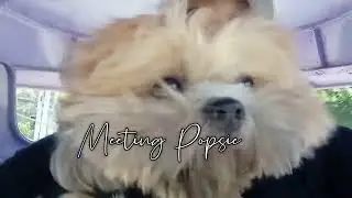 Meeting Popsie for the First Time -  Meatloaf