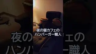 夜な夜なハンバーガーを作る猫がいます#shorts
