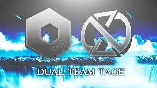 Zapping Nerd and Beehive Team紅 Dual Teamtage