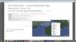Lenore Bajona, Ocean Tracking Network