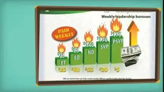 5Linx Presentation 2014 under 11 Min