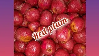 how to make red boil plums @annacherrycaribbeankitchen5052