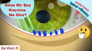 G&ouml;ze Bir Şey Ka&ccedil;arsa Ne Olur 👁️😰| G&ouml;revimiz: İnsan V&uuml;cudu | Da Vinci TV T&uuml;rkiye