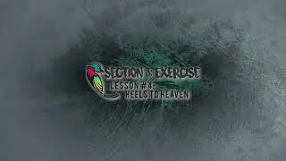 Low Back - Heels 2 Heaven Exercise - Homework Hub - Section 3 - Lesson 4 -