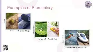 Copying Nature - What is Biomimicry?