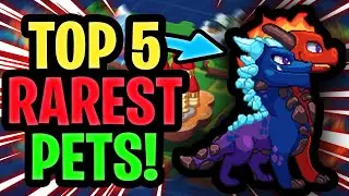 Prodigy Math - THE TOP 5 RAREST PETS!!! [MUST SEE]