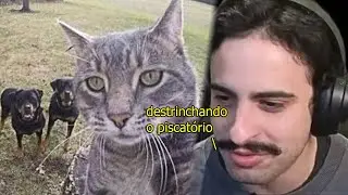 Memes para derreter seu cérebro