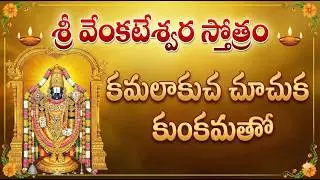Sri Venkateswara Prapatti | Kamalakucha Chuchuka Stotram | Divine Venkateswara Stotram | #srinadham