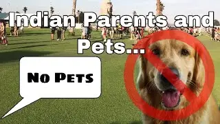 Indian Parents and Pets... Parents React to Getting a Pet